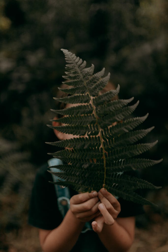 A child holding a large fern leaf in a dense, green forest environment.